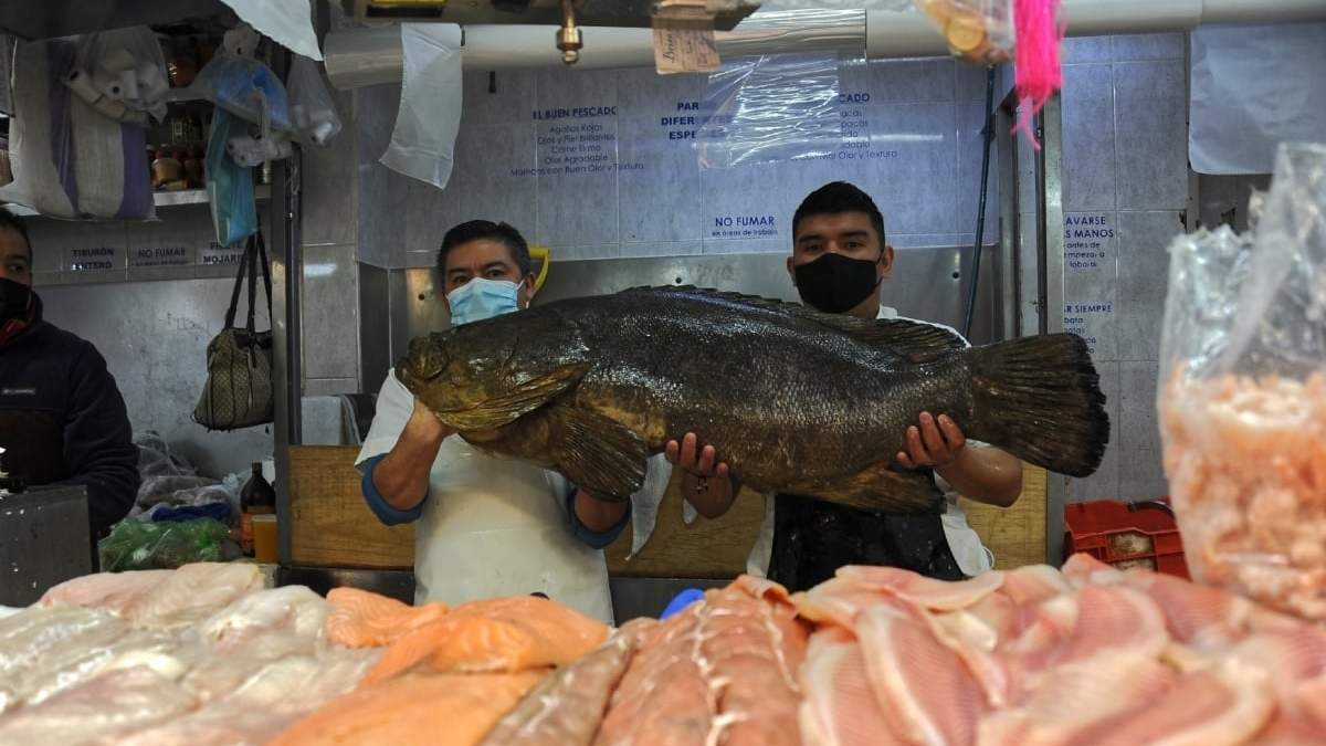 Manejo de pescados y mariscos