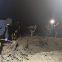 Suman 22 cadáveres localizados en fosas de Mexicali; ya hay cuerpos identificados: Marina del Pilar