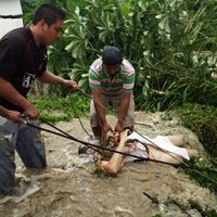 Un muerto y un desaparecido por desbordamiento de ríos en Tabasco