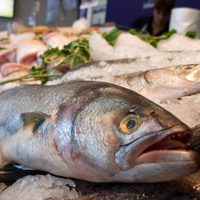 En julio se aceleró la suba de precios mayoristas