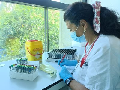 En estos estados de México se han detectado casos de Viruela del Mono