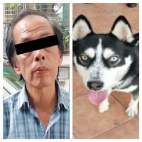 Detienen a hombre por golpear con cadena a un perro Husky Siberiano en calles de Cuauhtémoc