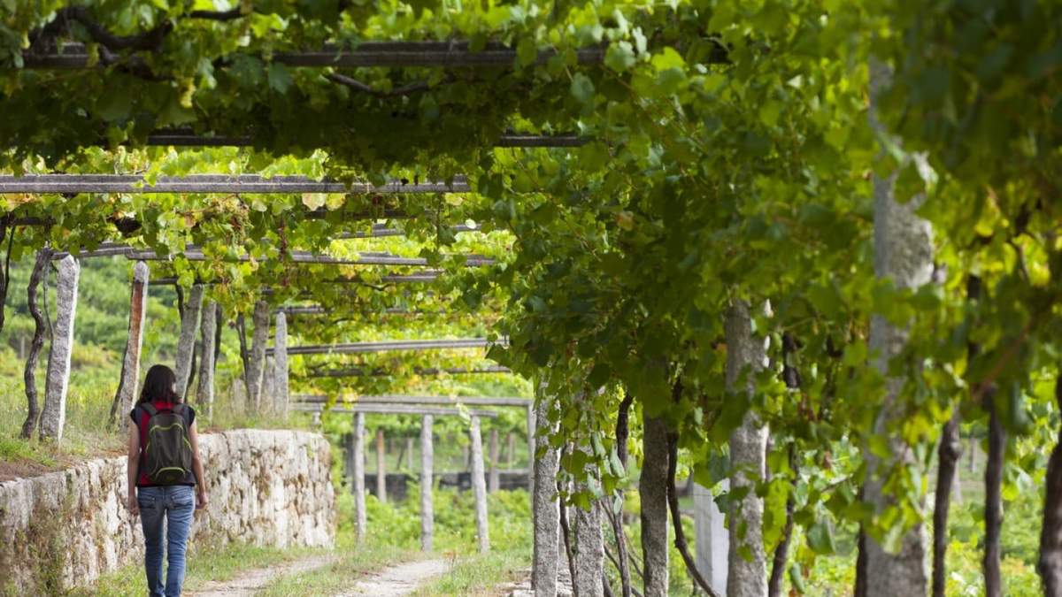 Charla sobre enoturismo de Mendoza. Fuente: (Instagram)