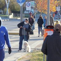 Mañana empiezan a regir las nuevas medidas en Neuquén: cuáles son las flexibilizaciones
