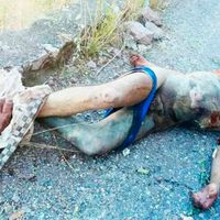 Entre narcofosas y ejecuciones reportan 35 muertos durante el fin de semana en Guerrero