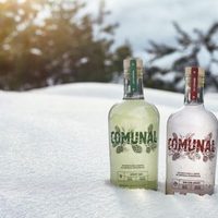 Llega el primer gin argentino elaborado a partir de destilado de cerveza