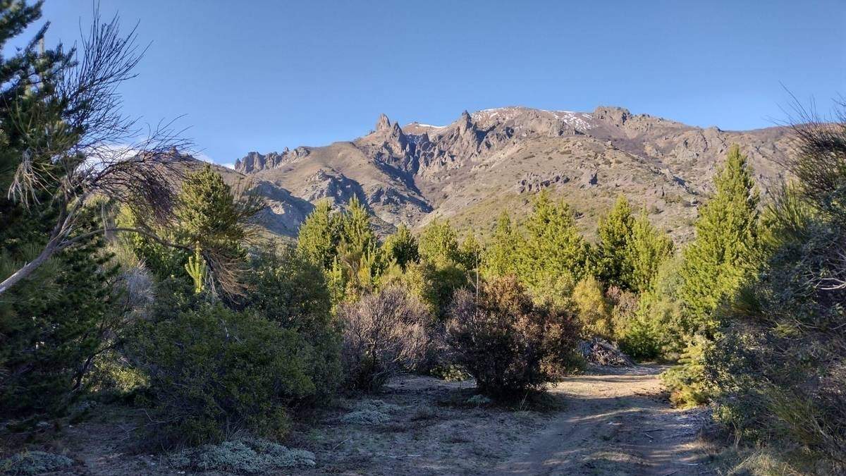 El terreno estaría ubicado en la ladera de un cerro de Bariloche. Fuente: (Twitter)