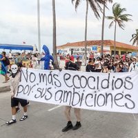 Diputados plantean que titulares de Pemex y Semarnat comparezcan por derrame de hidrocarburo