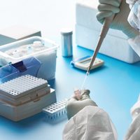 Cómo se encuentran los casos activos de coronavirus en localidades cercanas a Zapala