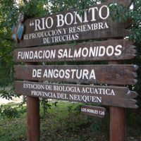 Villa La Angostura: ATE pide que se declare de interés municipal a la Fundación Salmónidos