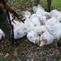 Grupo Sombra intensifica entrega de víveres… ahora en Tuxpan