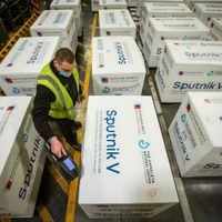 La Sputnik V empezará a ser producida en la Argentina