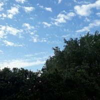 Clima en Neuquén: el martes trae tiempo bueno y un leve descenso del calor