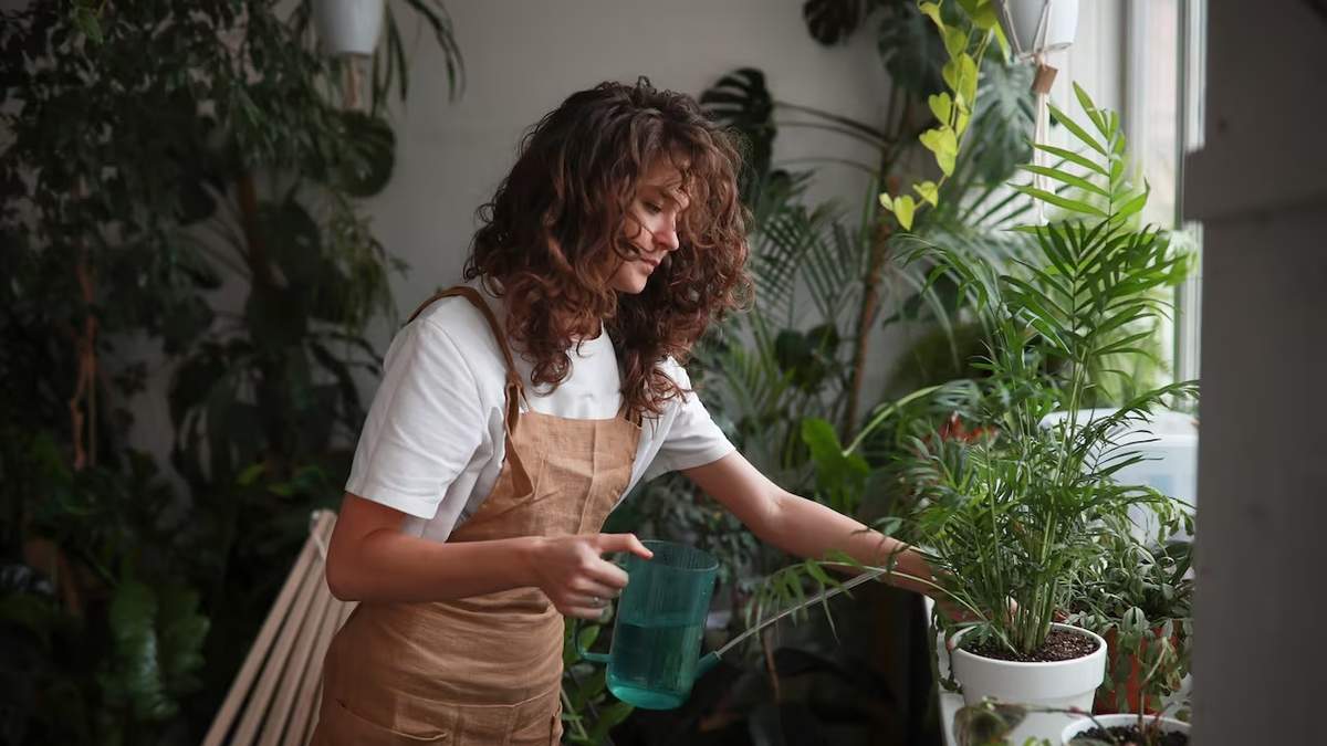 Plantas. Fuente: (X)