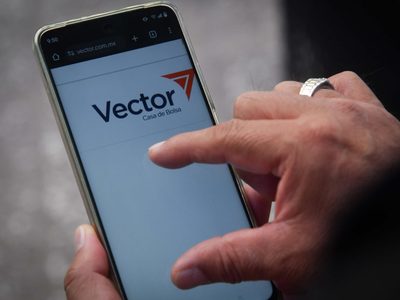 Tras la presión de Estados Unidos, Vector de Alfonso Romo se despide de sus clientes