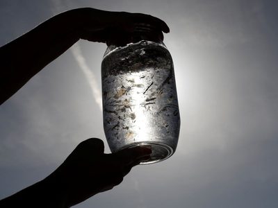 Comemos el equivalente a una tarjeta de crédito por semana, por la ingesta de microplásticos