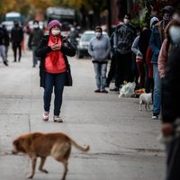 Coronavirus: la cifra de contagios del sábado llegó casi a los 10.000