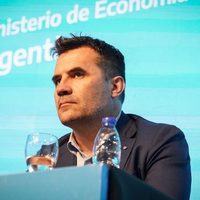 Darío Martínez destacó el ahorro que permitirá el gasoducto Néstor Kirchner: de cuánto será