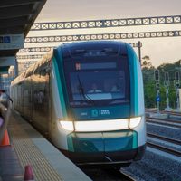 Tribunal ordena al gobierno protección ambiental durante la construcción del Tren Maya