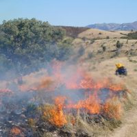 La Conafor reporta 104 incendios forestales en 17 estados del país
