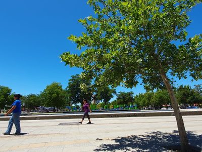 Clima en Neuquén: domingo de calor sofocante con máximas de hasta 42 grados