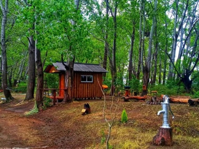 Isla Aitue: el refugio natural que combina camping y descanso a pasos del Alto Valle
