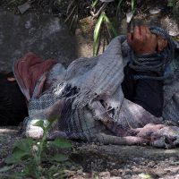 Hallan cabeza con narcomensaje dirigido al alcalde de Yautepec