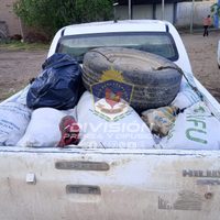 Secuestraron carne de animales faenados, armas y municiones en Rincón de los Sauces