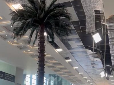 Se desprenden plafones del techo del AIFA (Video)