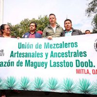 El gobernador de Oaxaca marcha en periférico por denominación del mezcal