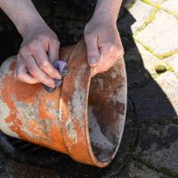 El truco de limpieza para limpiar tus macetas antes de volverlas a usar para sembrar tus plantas