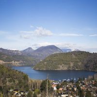 Plantaron más de 140 árboles nativos San Martín de los Andes