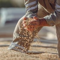 Crece el malestar del campo por la baja de retenciones