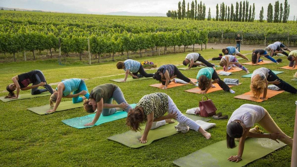 Relax y vino en Mendoza. Fuente: (Instagram)