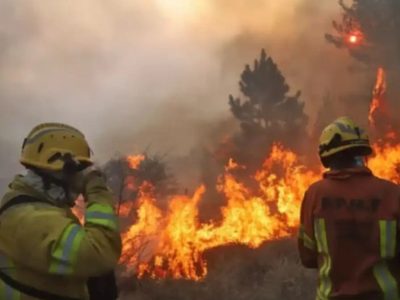 Parque Nacional Lanín creó una App que ayudará a prevenir incendios forestales