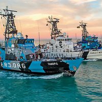 Sea Shepherd: un poder internacional