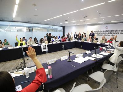 Comisiones del Senado avalan reforma que prohíbe el maíz transgénico