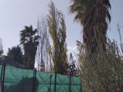 Fuertes ráfagas que anticipan el frente frío