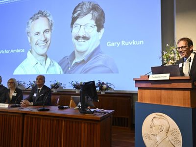 Nobel de Medicina para dos estadunidenses por su descubrimiento del microARN