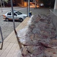 Insólito: detuvieron en Río Negro a una neuquina que traficaba 65 costillares