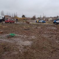 Alrededor de 40 familias tomaron unos terrenos en Centenario