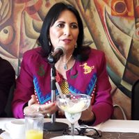 Procuraduría Social prevé destinar mil pesos para enfrentar la violencia contra la mujer en Jalisco