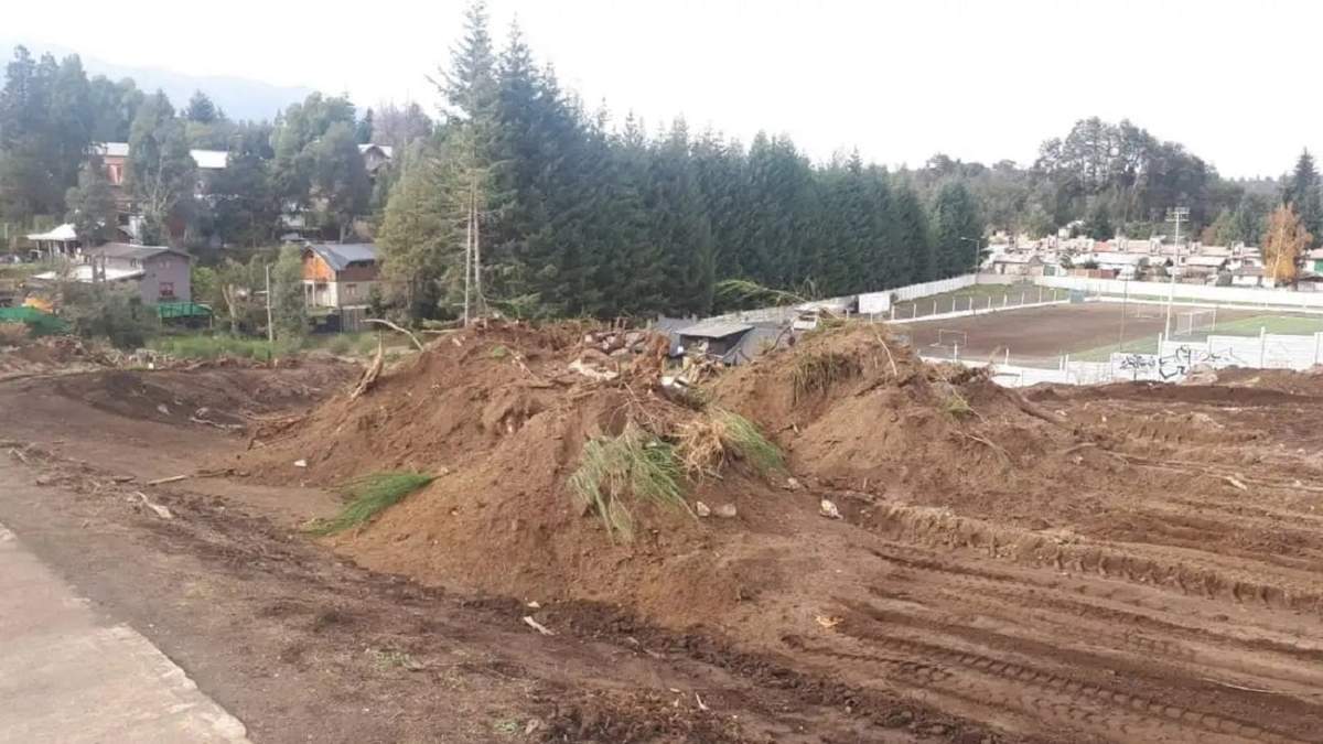 Reforestación en Villa La Angostura. Fuente: (Angostura Noticias.com)