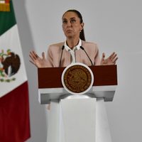 Sheinbaum niega que AMLO ordenó reelección de Rosario Piedra