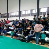 Rescatan a 229 migrantes en seis casas de seguridad en Tamaulipas