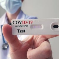 Río Negro prohíbe la venta de test rápidos para detectar el coronavirus