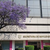 Semovi suspende cinco días expedición de licencias y tarjetas de circulación