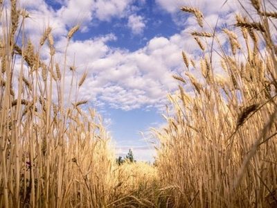 ¿Cuándo empieza el verano de 2023?