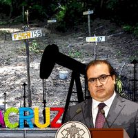 Fosas clandestinas en Veracruz: entre el subregistro y los intereses económicos