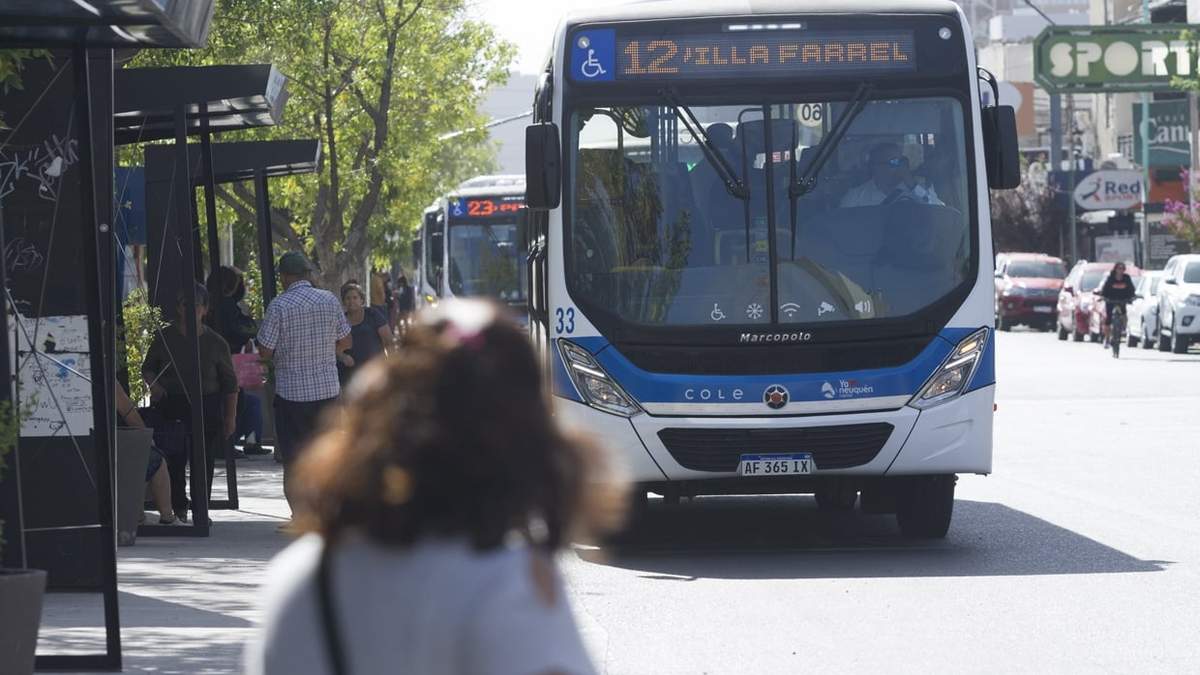 Transporte urbano COLE. Fuente: (Emiliano Ortiz)
